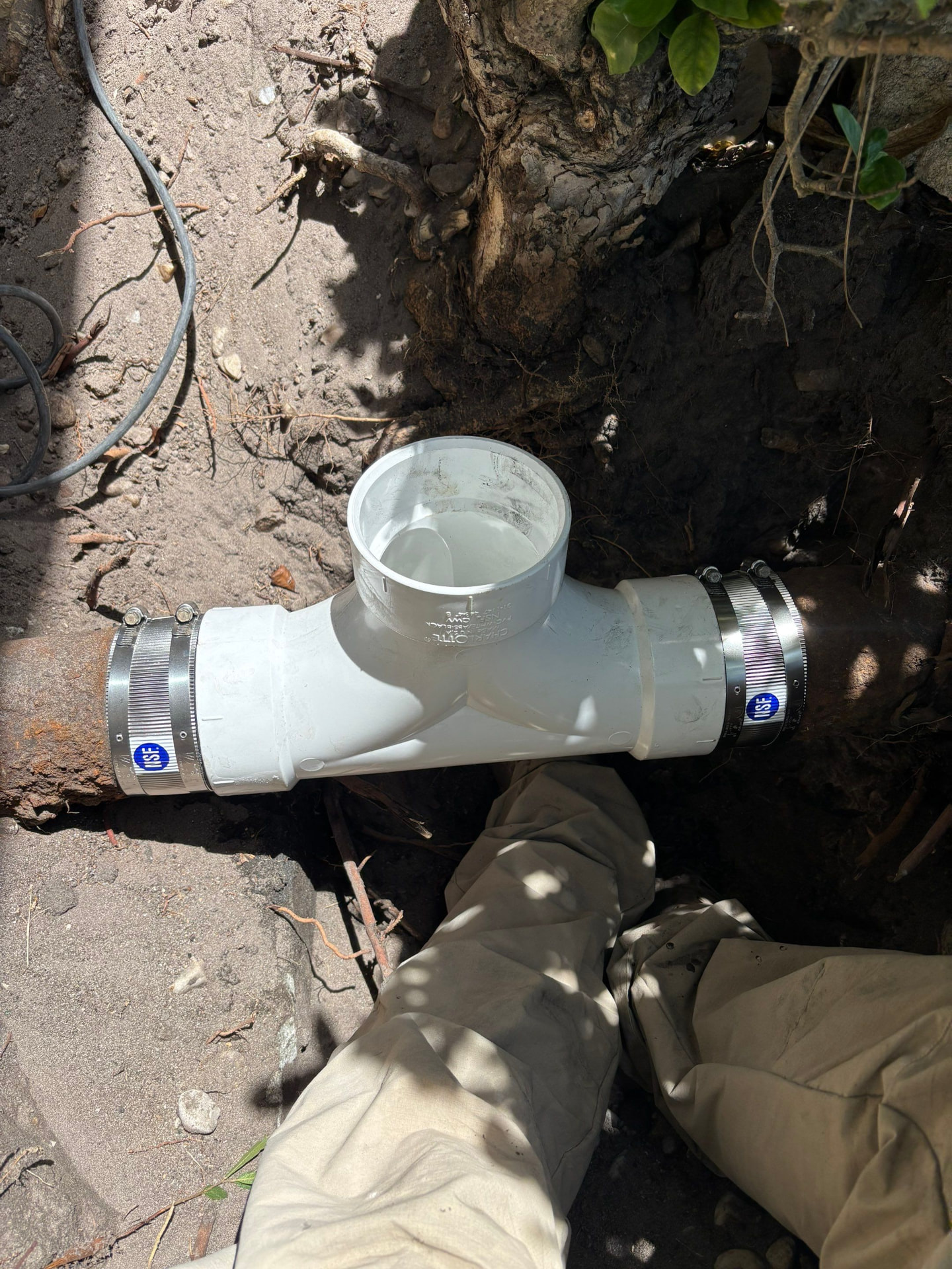 New PVC cleanout tee joined to an existing cast iron drain line with two stainless shielded couplings, set in the ground outside a Venice home