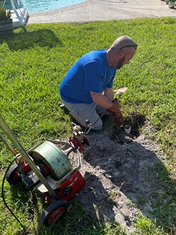 Image gallery marquee